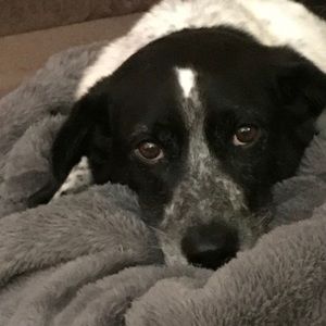 Meet your Posher, Robin